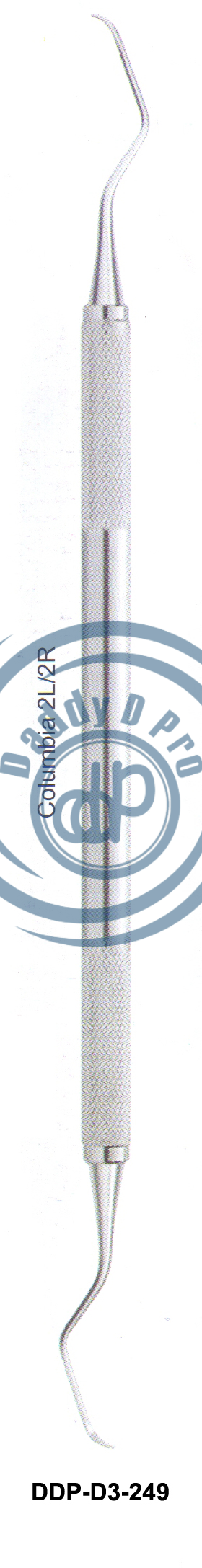 images/DDP-D3-249.png