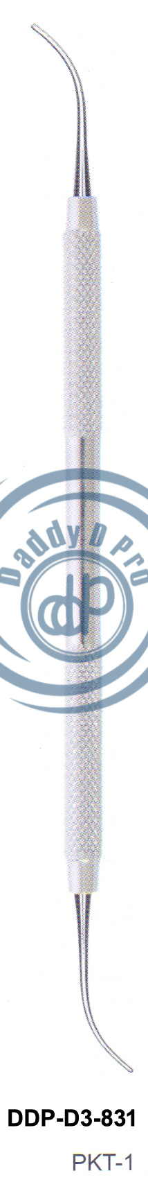 images/DDP-D3-831.png