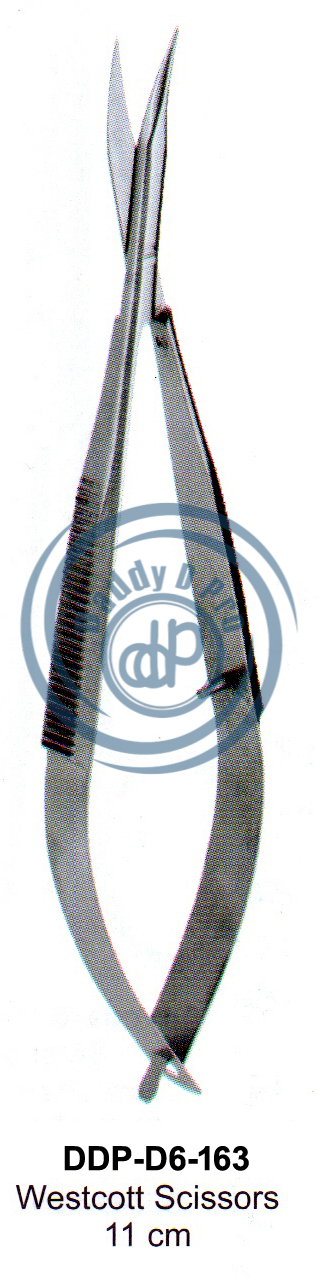 images/DDP-D6-163.png