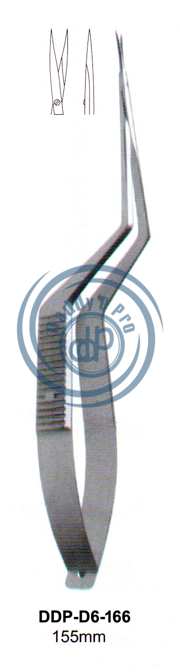 images/DDP-D6-166.png