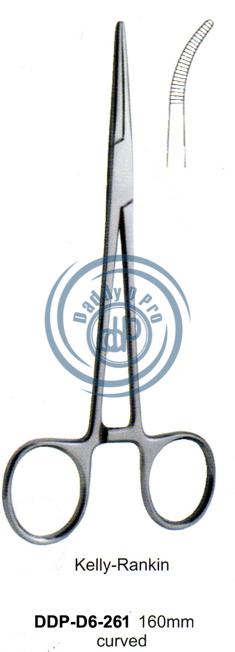 images/DDP-D6-261.png