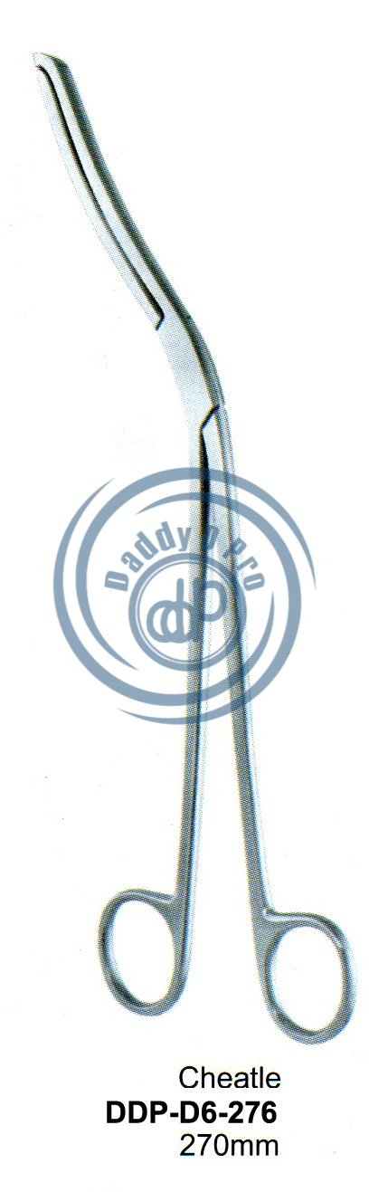 images/DDP-D6-276.png