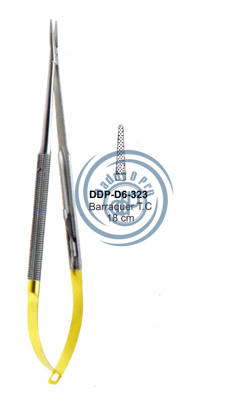 images/DDP-D6-323.png