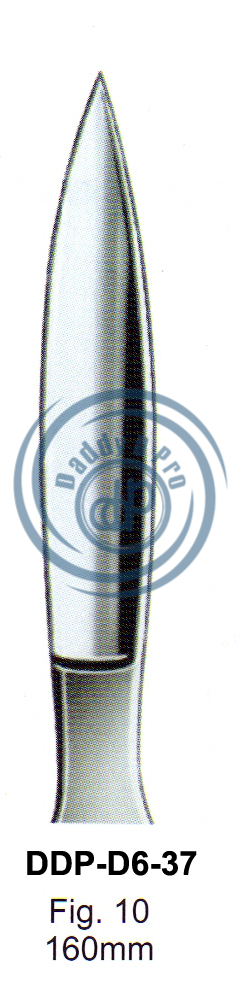 images/DDP-D6-37.png