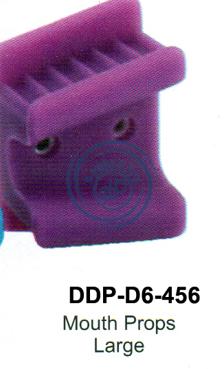 images/DDP-D6-456.png