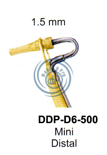 images/DDP-D6-500.png