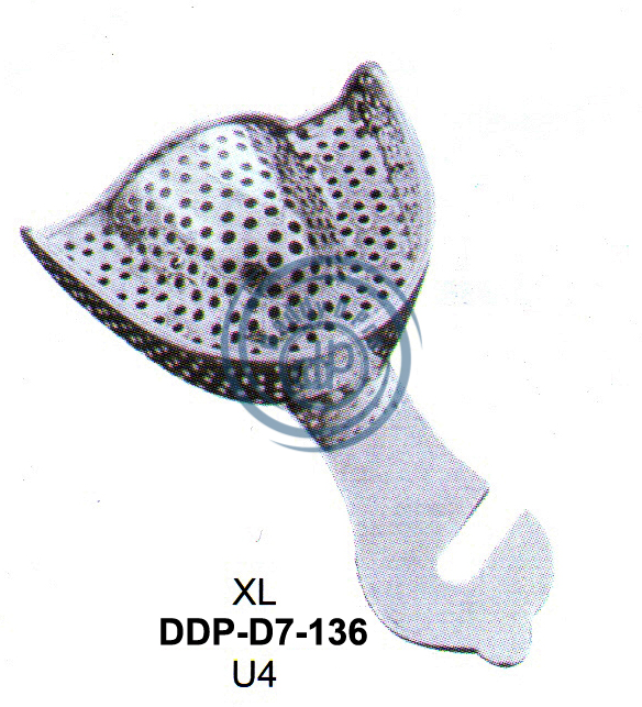 images/DDP-D7-136.png