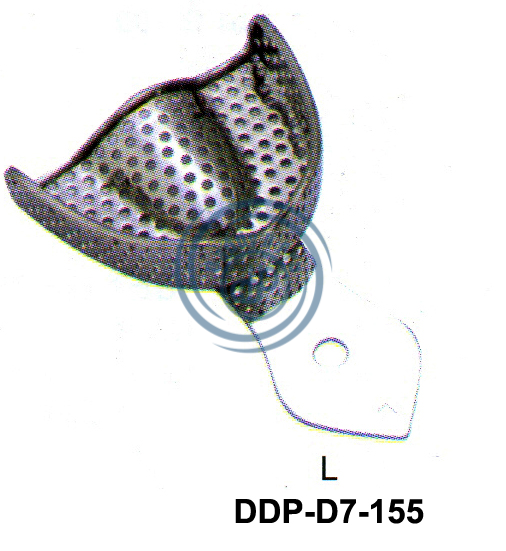 images/DDP-D7-155.png