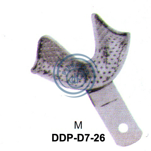 images/DDP-D7-26.png